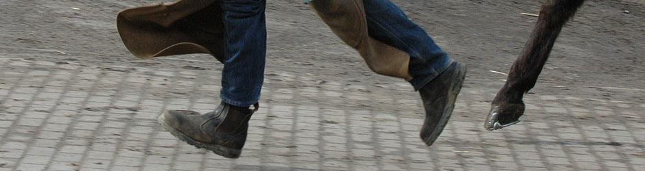 Robin Bullermann bei der Fußung im Lauf mit einem Pferd. Füße von Schmied und Pferd schweben im Gleichschritt in der Luft